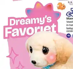 Dreamland Dreamy's Favoriet aanbieding