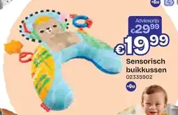 Dreamland Fisher-Price SensoriscSensorisch buikkussen Buikkussen aanbieding