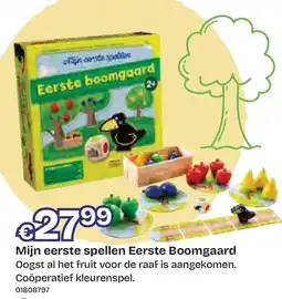 Dreamland Mijn eerste spellen Eerste Boomgaard aanbieding