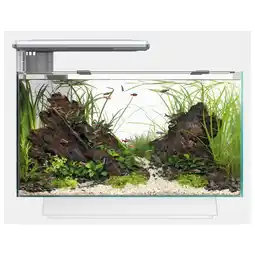 Pets Place SuperFish Quadro 40 Multi Colour - Aquarium - LED voet Wit aanbieding