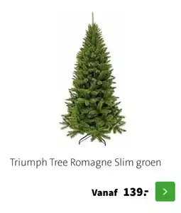 Intratuin Triumph tree romagne slim groen aanbieding