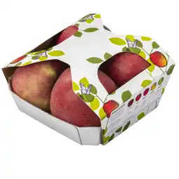 PLUS PLUS Handappels Fuji aanbieding