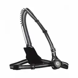 ANWB Bowinq Boston 500 Borstlamp oplaadbaar Zwart aanbieding