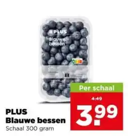PLUS PLUS Blauwe bessen aanbieding