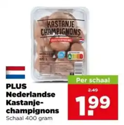 PLUS Nederlandse Kastanje-champignons aanbieding