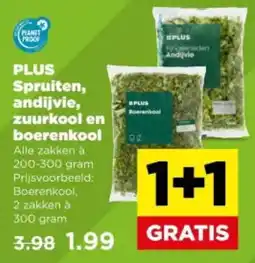 PLUS PLUS Spruiten, andijvie, zuurkool en boerenkool aanbieding