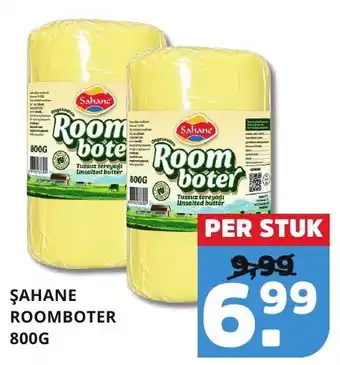 Sahane roomboter