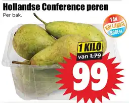 Dirk Hollandse Conference peren aanbieding