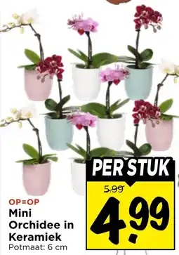 Vomar Voordeelmarkt Mini Orchidee in Keramiek aanbieding