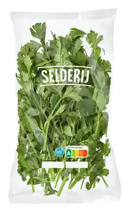 Dirk VAN VUGT Selderij aanbieding