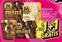 Hoogvliet Magnum mini aanbieding