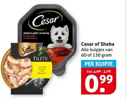 Hoogvliet Cesar of Sheba aanbieding