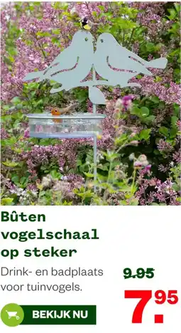 Welkoop Bûten vogelschaal op steker aanbieding