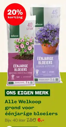 Welkoop Welkoop éénjarige bloeiers aanbieding
