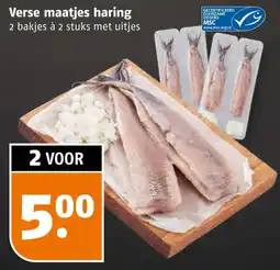 Poiesz Verse maatjes haring aanbieding