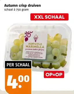 Poiesz Autumn crisp druiven aanbieding