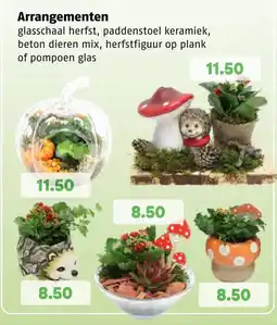 Poiesz Arrangementen aanbieding