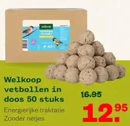 Welkoop Welkoop vetbollen aanbieding
