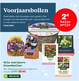 Welkoop Alle voorjaars bloembollen aanbieding