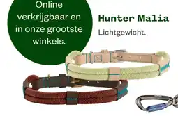 Welkoop Hunter Malia aanbieding