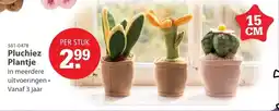 Marskramer Pluchiez Plantje aanbieding