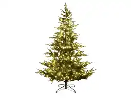 Lidl LIVARNO LED-kunstkerstboom, 228 cm aanbieding