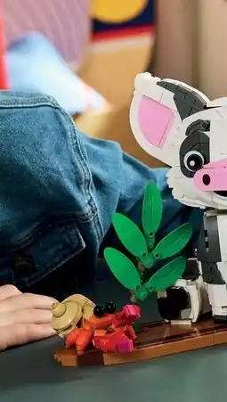 Kruidvat Bobbi Lente, Zomer, Herfst en Winter - Monica Maas Kinderboek aanbieding