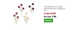 Intratuin Kunsttak Allium aanbieding