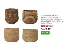 Intratuin Mand Topaz of Ratna aanbieding