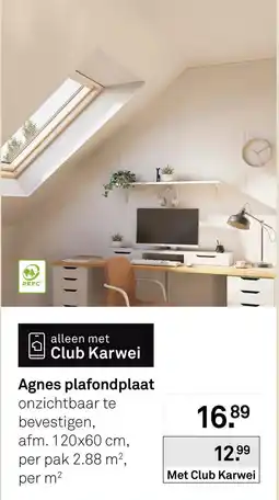 Karwei Agnes plafondplaat aanbieding