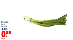 Makro Bosuien aanbieding