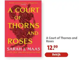 Bruna A Court of Thorns and Roses aanbieding