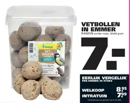 Ranzijn Ranzijn vetbollen aanbieding