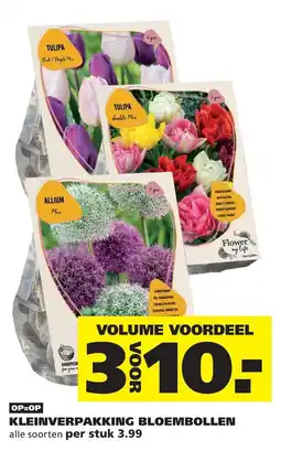 Ranzijn Flower my life kleinverpakking bloembollen aanbieding