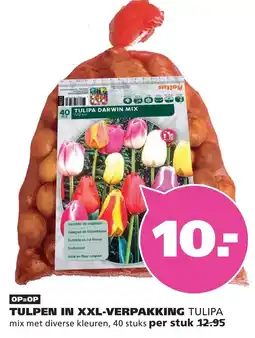 Ranzijn Raltus tulpen in xxl-verpakking tulipa aanbieding