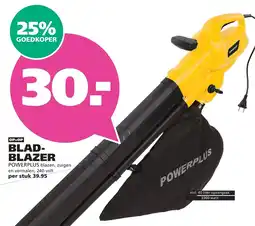 Ranzijn powerplus blad-blazer aanbieding