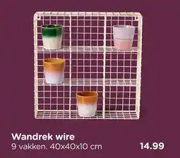 Xenos Wandrek wire aanbieding