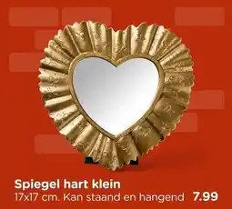 Xenos Spiegel hart klein aanbieding