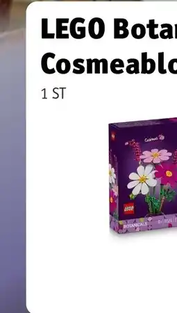 Kruidvat Buxibo Mini Houten Klimrek & Klimboog met Kussen & Klimhelling met Glijbaan aanbieding