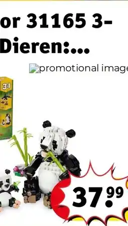 Kruidvat Woezel & Pip Welkom in de Tovertuin - Guusje Nederhorst Kinderboek aanbieding