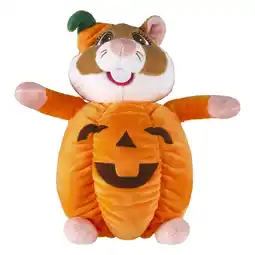 Albert Heijn AH Hamster pompoen aanbieding