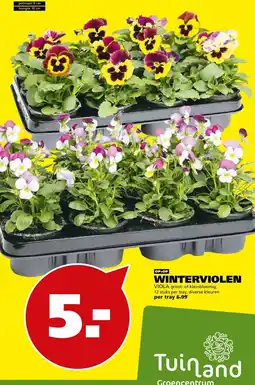 Tuinland Tuinland Winterviolen aanbieding