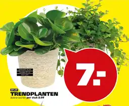 Tuinland Trendplanten aanbieding