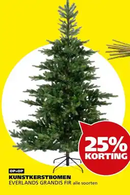 Tuinland everlands grandis fir aanbieding