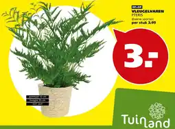 Tuinland Tuinland VLEUGELVAREN PTERIS aanbieding