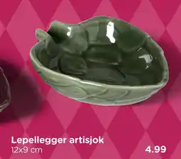 Xenos Lepellegger artisjok aanbieding