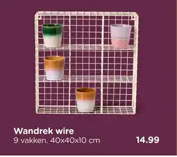 Xenos Wandrek wire aanbieding
