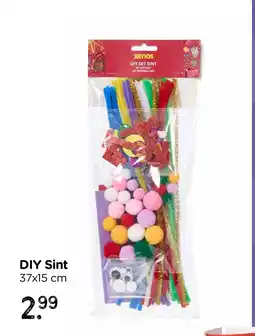 Xenos DIY Sint aanbieding