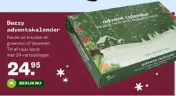 Welkoop Buzzy adventskalender aanbieding