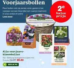 Welkoop Alle voorjaars- bloembollen aanbieding